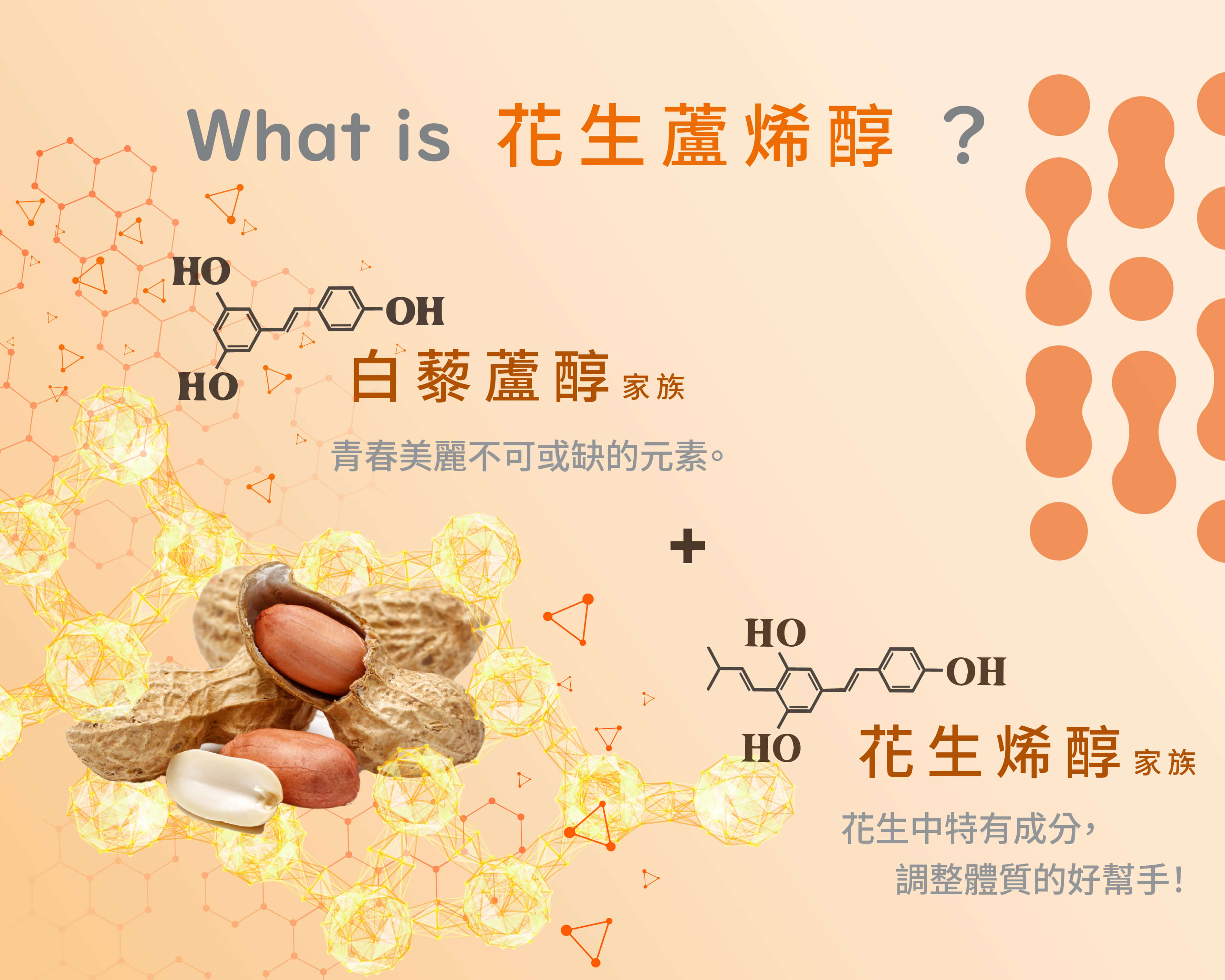 【嘉源生技】What is 花生蘆烯醇