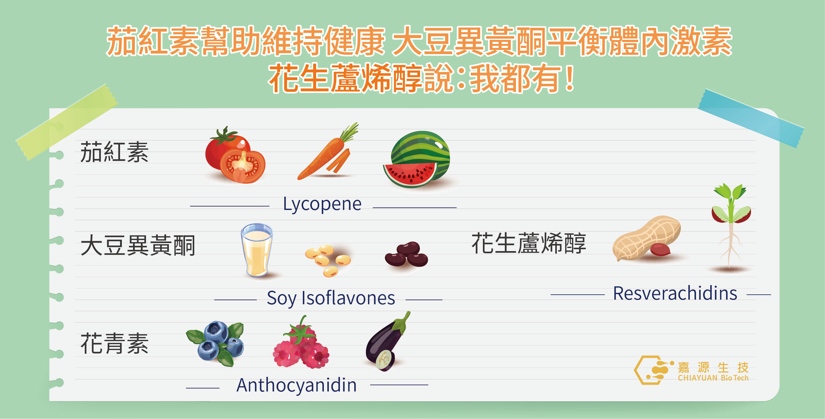 茄紅素幫助維持健康 大豆異黃酮平衡體內激素 花生蘆烯醇說:我都有!