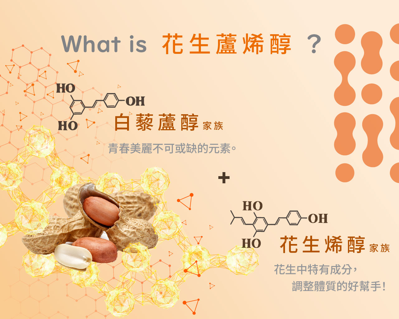 什麼是花生蘆烯醇?